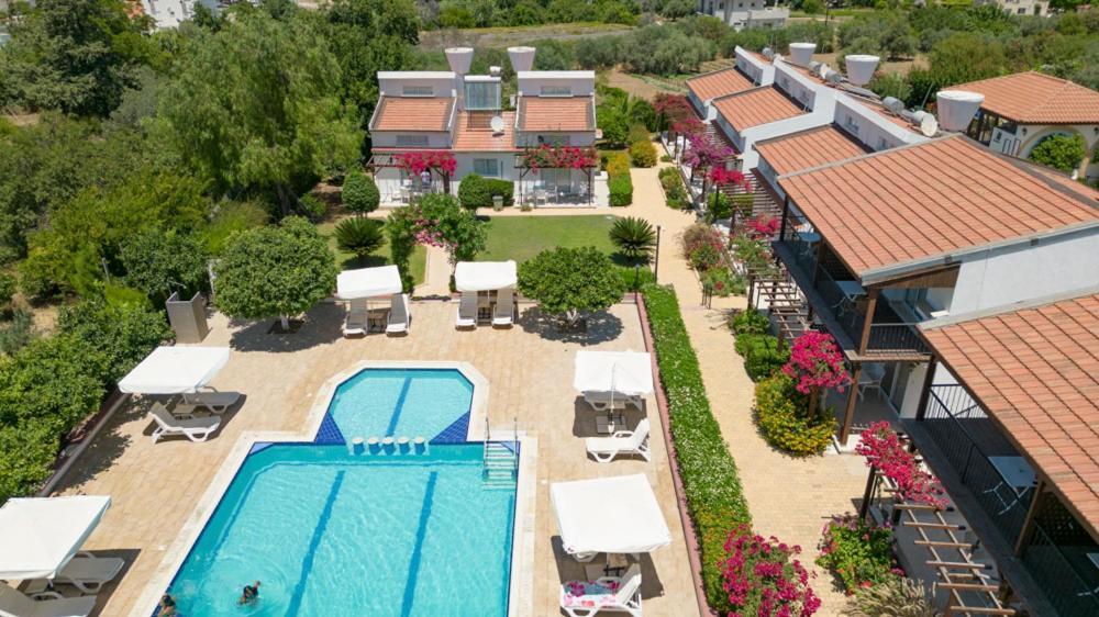 Hotel Citrus Tree Gardens Karavas  Zewnętrze zdjęcie