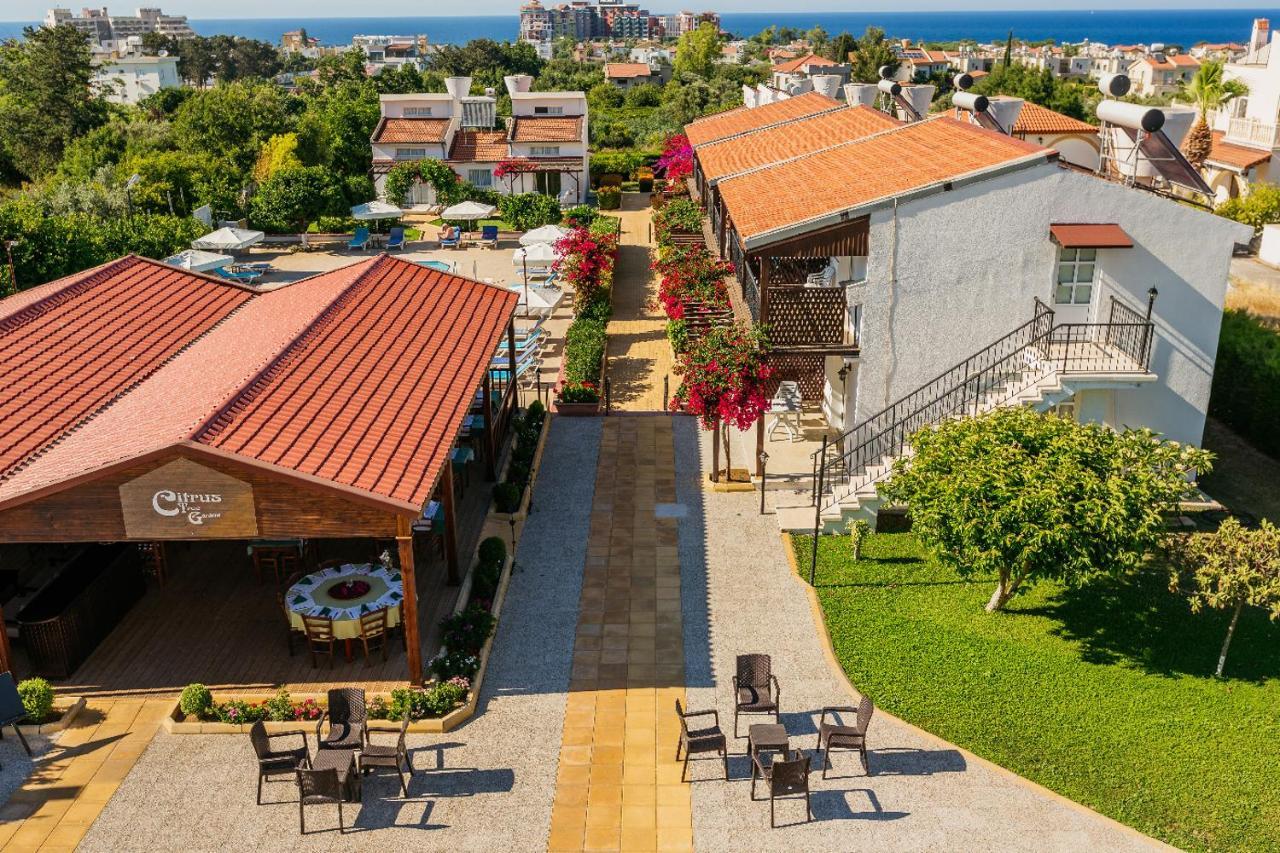 Hotel Citrus Tree Gardens Karavas  Zewnętrze zdjęcie