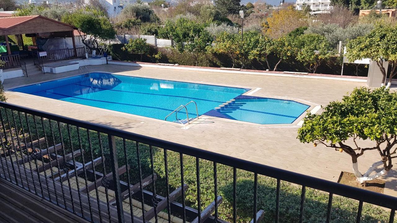 Hotel Citrus Tree Gardens Karavas  Zewnętrze zdjęcie