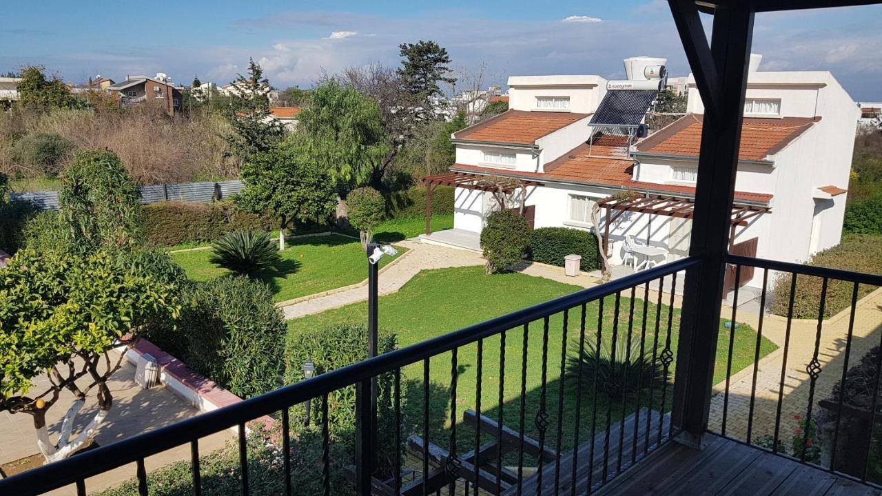 Hotel Citrus Tree Gardens Karavas  Zewnętrze zdjęcie